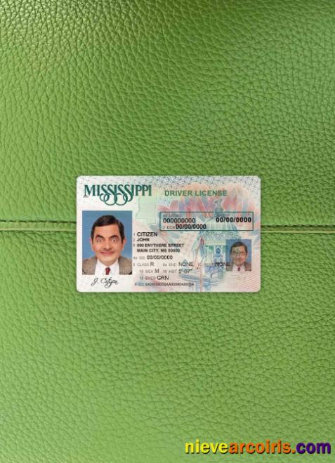 USA Mississippi driving license photolook